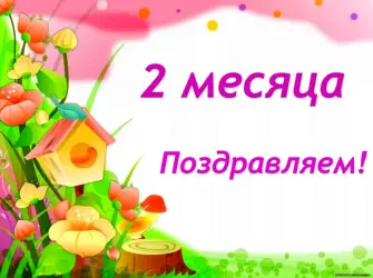 2 Месяца ребенку поздравления. Открытка для женщины