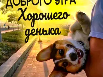 Больше позитива открытка