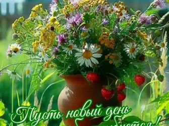 Чудесного летнего дня открытка