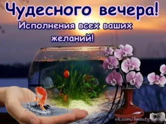 Чудесного вечера открытка