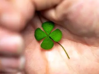 Clover Love hope Faith and luck. Открытка, картинка с поздравлением, с праздником
