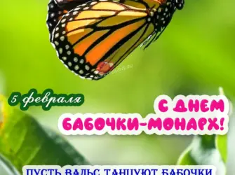День бабочек. Открытка, картинка с поздравлением, с праздником