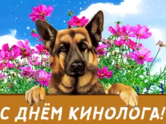 День кинолога. Открытка, картинка с поздравлением, с праздником