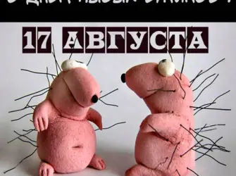 День лысых ежиков. Открытка, картинка с поздравлением, с праздником