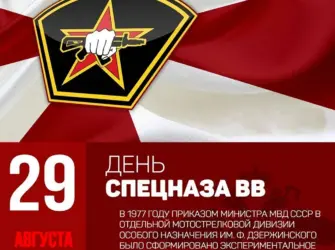 День подразделений специального назначения ВВ МВД РФ 29 августа. Открытка, картинка с поздравлением, с праздником