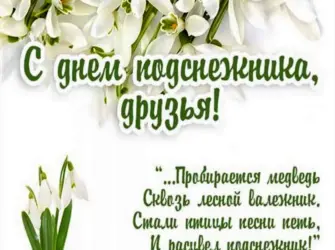 День подснежника. Открытка, картинка с поздравлением, с праздником