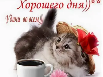 Доброе утро хорошего настроения открытка