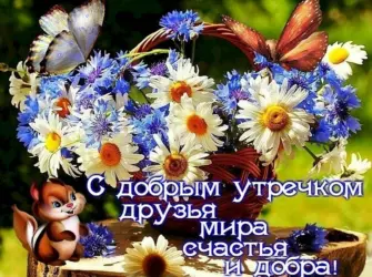 Доброго мирного утра и хорошего дня открытка
