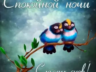 Доброй ночи открытка