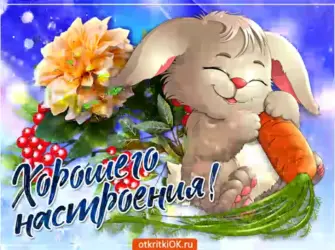 Гифки просто так для настроения открытка