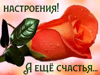 Хорошего дня и отличного настроения открытка