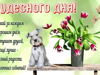 Хороший день. Открытка для женщины