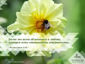 Христианские открытки с Цитатами из Библии открытка