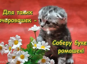 Классные комплименты девушке открытка