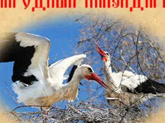 Константиновы круги в народном календаре. Открытка, картинка с поздравлением, с праздником