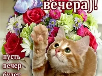 Красивые поздравления с добрым вечером открытка