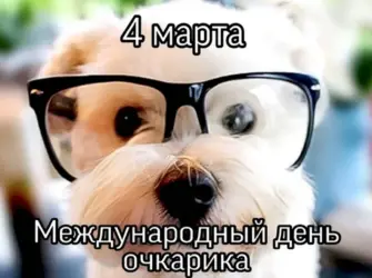 Международный день очкарика 4 марта. Открытка, картинка с поздравлением, с праздником