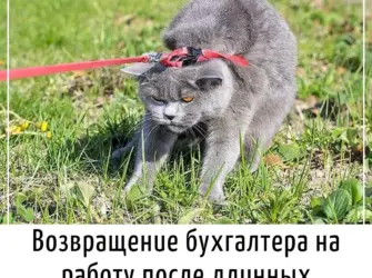 На работу после отпуска открытка