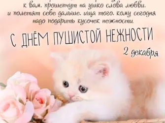 Нежные котята. Открытка, картинка с поздравлением, с праздником