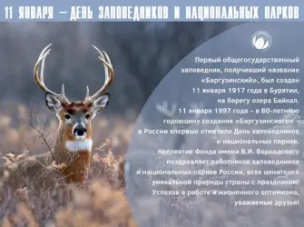 Олень Мем. Открытка, картинка с поздравлением, с праздником