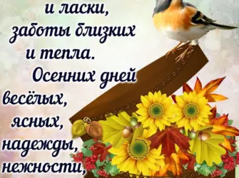 Осенние поздравления. Открытка для женщины