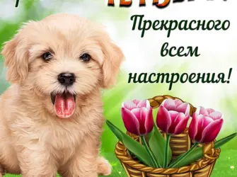 Открытки с четвергом открытка
