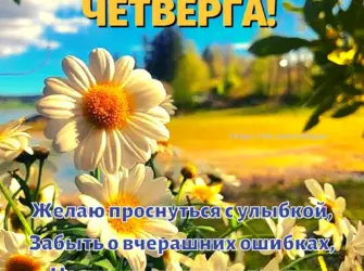 Открытки с добрым утром четверга открытка