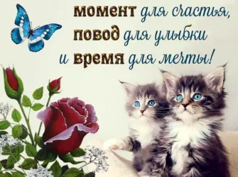 Открытки с пожеланиями открытка