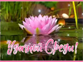Открытки со средой открытка