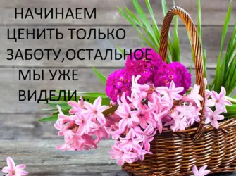 Открытки со стихами из Библии открытка