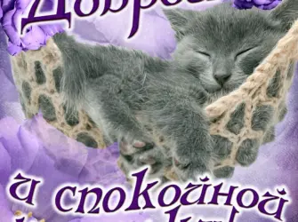 Открытки спокойной ночи. Открытка для женщины