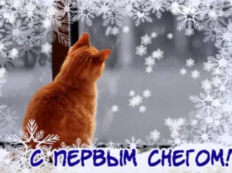 Первый снег открытка