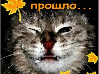 Последний день лета открытка
