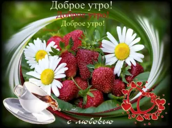 Поздравление с добрым летним утром открытка