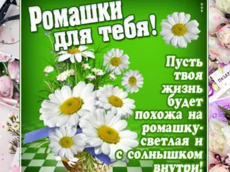 Поздравления с днём рождения ромашки открытка
