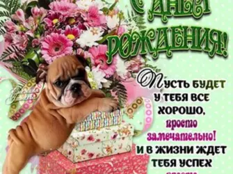 Поздравления с днём рождения с животными. Открытка для женщины