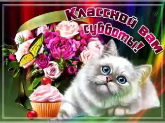 Пожелание классной субботы открытка