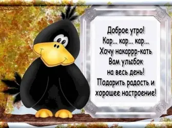 Пожелания с добрым утром прикольные. Открытка для мужчины