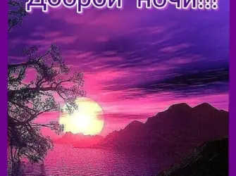 Пожелания спокойной ночи открытка