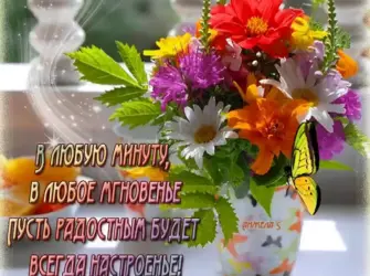 Прекрасного дня и отличного настроения открытка