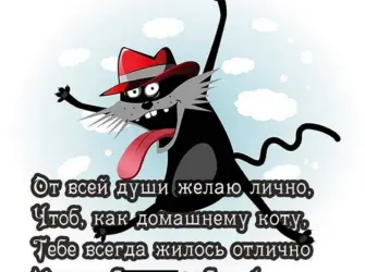 Прикольные поздравления. Открытка для мужчины