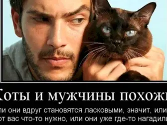 Приколы про мужчин. Открытка для мужчины