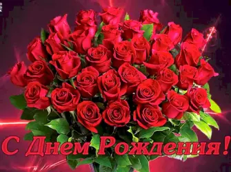 С днём рождения розы. Открытка для женщины