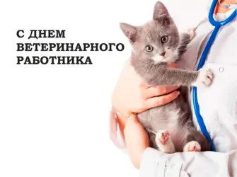 С днем ветеринарного работника. Открытка, картинка с поздравлением, с праздником