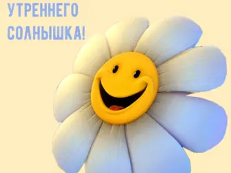 С добрым утром открытка