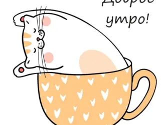 С добрым утром котики Рисованные открытка