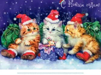 С новым годом котики открытка