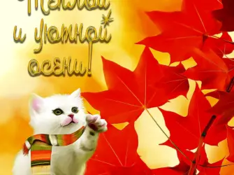 С первым днем осени открытка