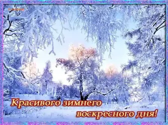 С воскресным зимним днем открытка