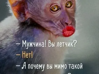 Шутки про красоту открытка